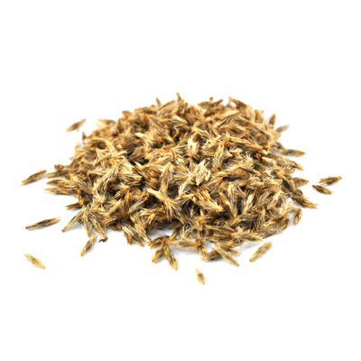 Семена медоносные