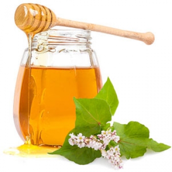 Гречишный мед